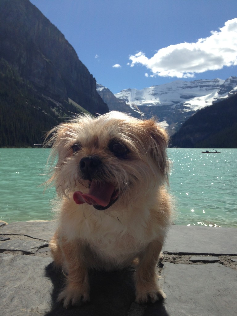 Madison also enjoyed her time at Lake Louise - July 2013