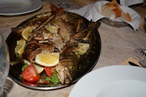 Grilled Fresh Fish