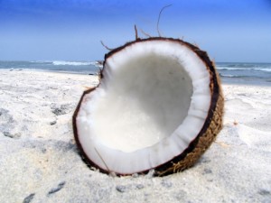 coconut