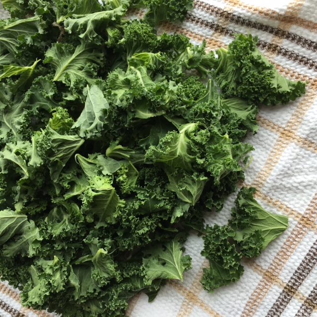 kale4