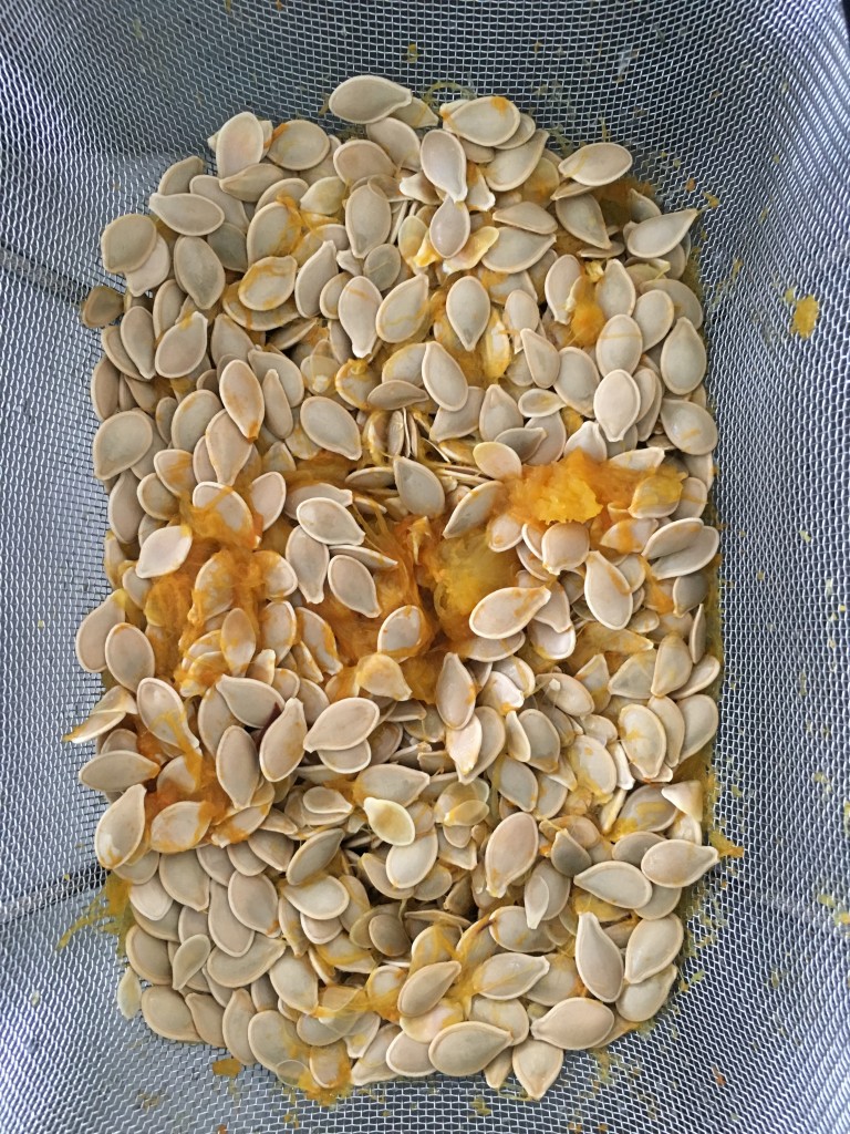 pumpkin seeds