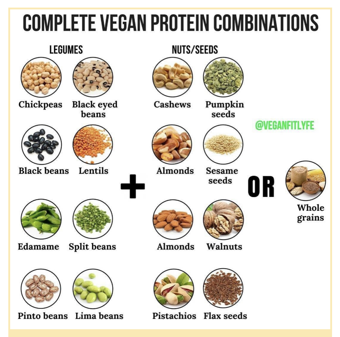 What’s All the Buzz About Plant Protein?
